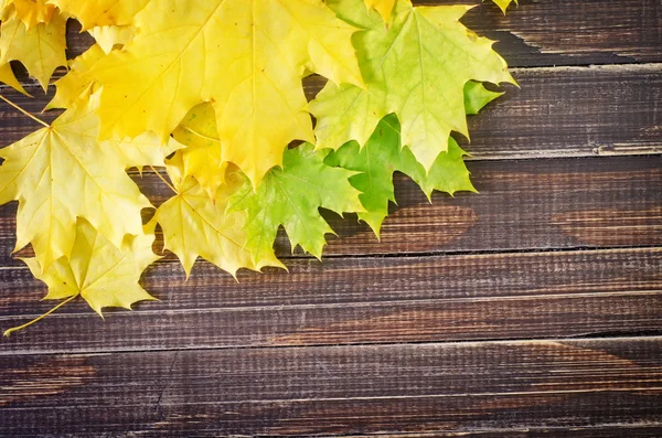 Yellow leaves — Stock Photo, Image