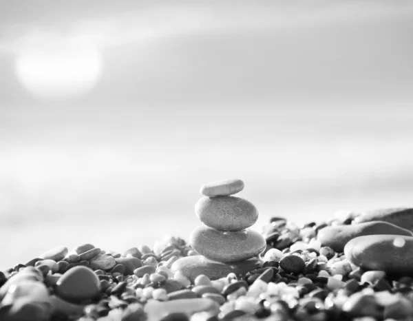 Stones on the seashore — Stock Photo, Image