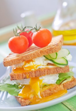 yumurta haşlanmış yumurta ile tost