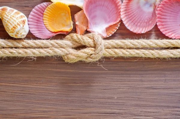 海边的贝壳和绳子 — 图库照片
