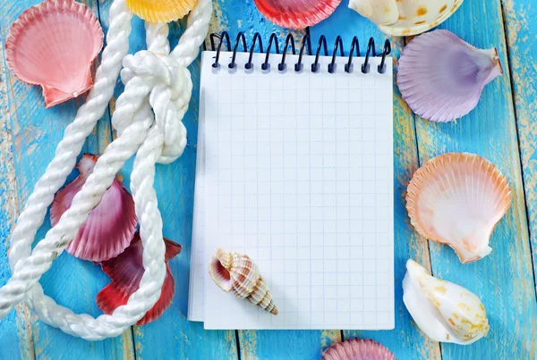 Note and sea shell — Stock Photo, Image