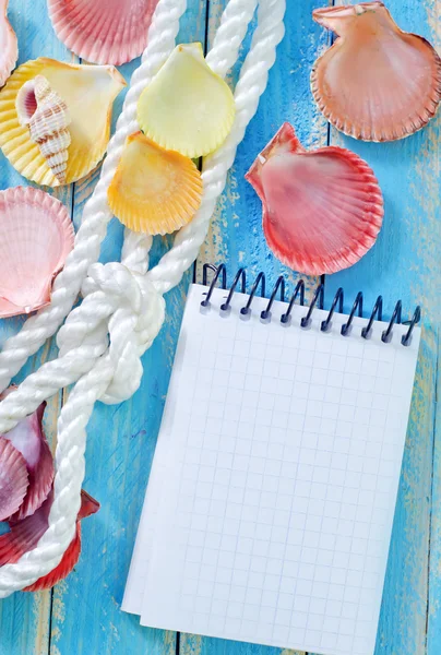 Note and sea shell — Stock Photo, Image