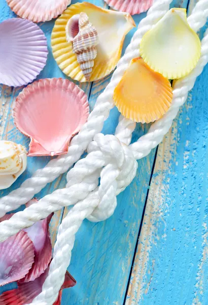 Muscheln auf dem Tisch — Stockfoto