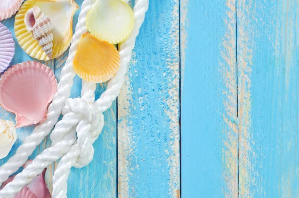 Shells on the table — Stock Photo, Image