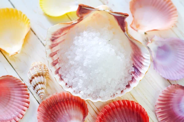 Sea salt and shells — Stock Photo, Image