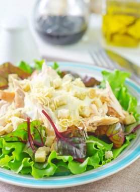 bir tabak salata