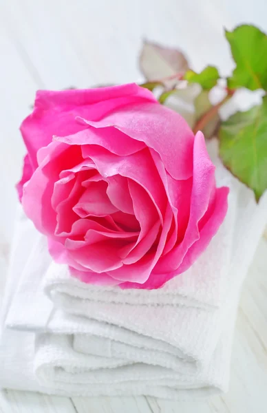 Rosa e toalhas — Fotografia de Stock