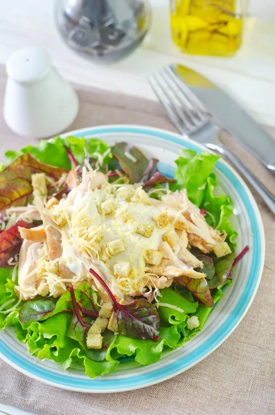 Insalata in un piatto — Foto Stock