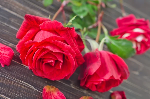 Rosas sobre fondo de madera — Foto de Stock