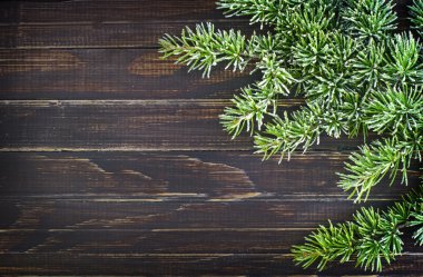 yeşil çam iğneleri