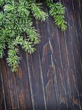 yeşil çam iğneleri