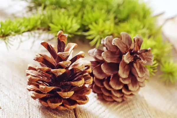 Pinecones op een tafel — Stockfoto