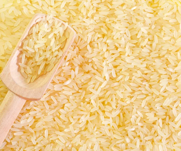 Arroz bruto — Fotografia de Stock