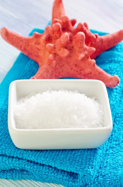Garam laut dan kerang — Stok Foto