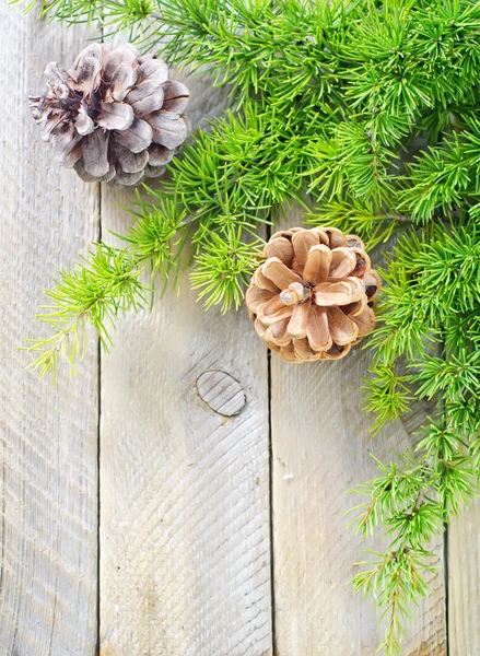 Pinecones — Stockfoto