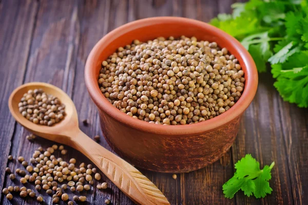 Coriander — Stock Photo, Image