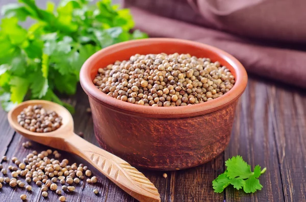 Coriander and parsley — Stock Photo, Image