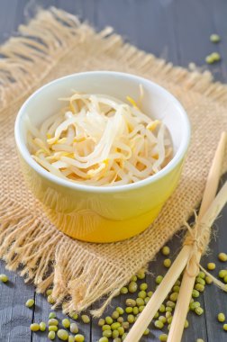 bir kasede lahanası