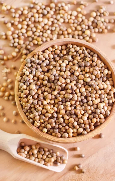 Coriander in a bowl — Stock Photo, Image