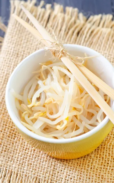 Sprouts in a bowl — Stock Photo, Image