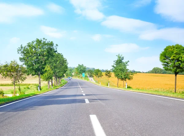 Road in nature — Stock Photo, Image