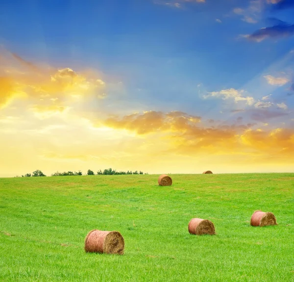 Stacks on field — Stock Photo, Image