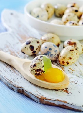 bıldırcın yumurtası