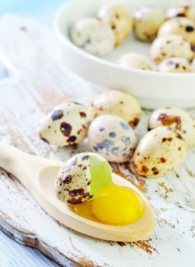 bıldırcın yumurtası