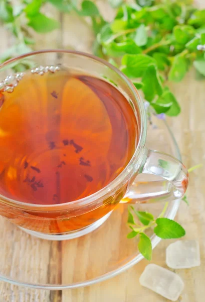 Tea with mint — Stock Photo, Image