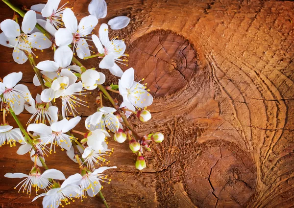 Wooden background — Stock Photo, Image