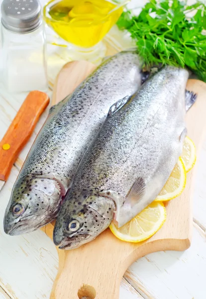 Pesce crudo — Foto Stock