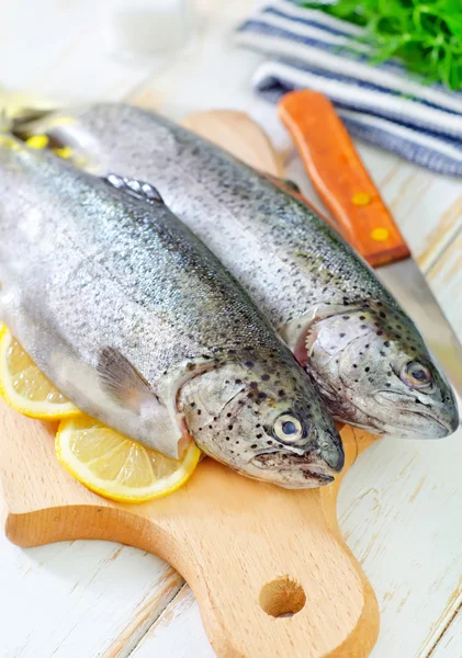 Pescado crudo — Foto de Stock