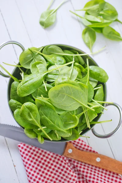 Spinach — Stock Photo, Image