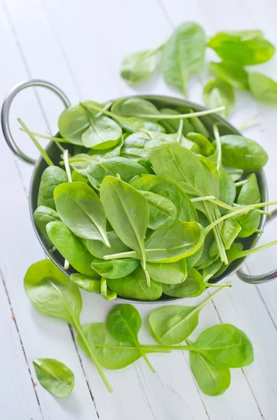 Spinach — Stock Photo, Image