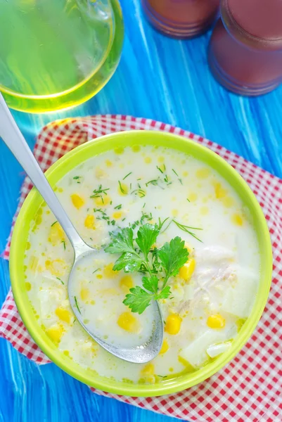 Fresh soup — Stock Photo, Image