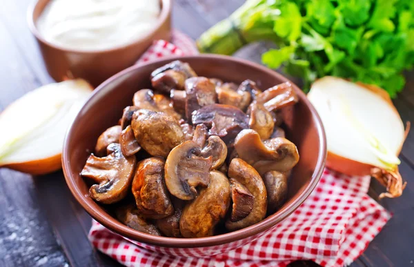 Mushroom — Stock Image Mushroom Stock Picture