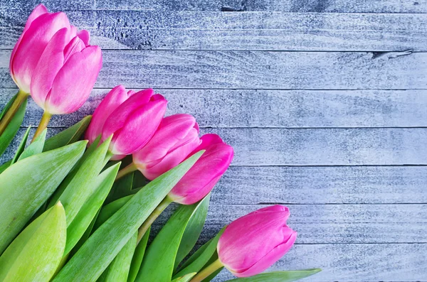 Roze tulpen — Stockfoto