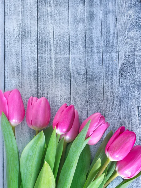 Roze tulpen — Stockfoto