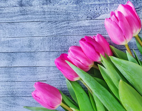 Roze tulpen — Stockfoto