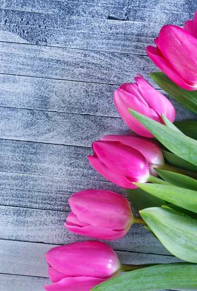 Roze tulpen — Stockfoto