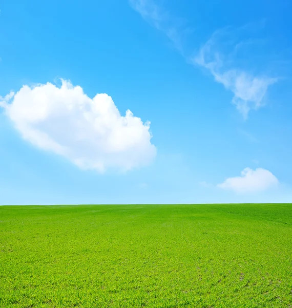 Grass and sky — Stock Photo, Image