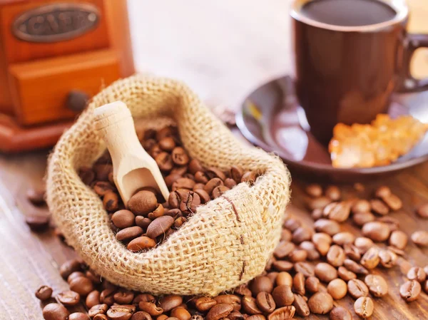 Grains de café avec broyeur et tasse — Photo
