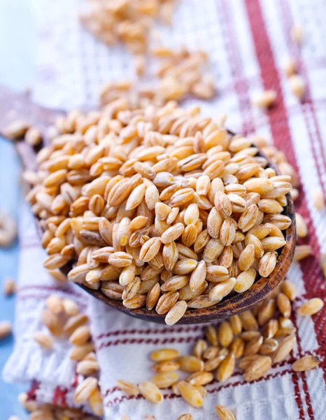 Пшениця в ложці — стокове фото