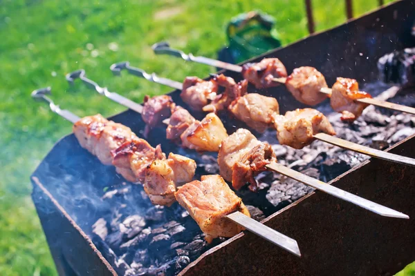 Kebab — Stock Photo, Image