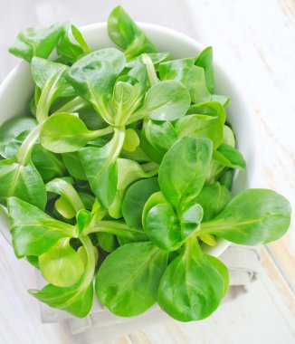 Cornsalad