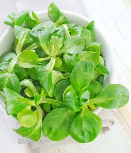 Ensalada de maíz — Foto de Stock