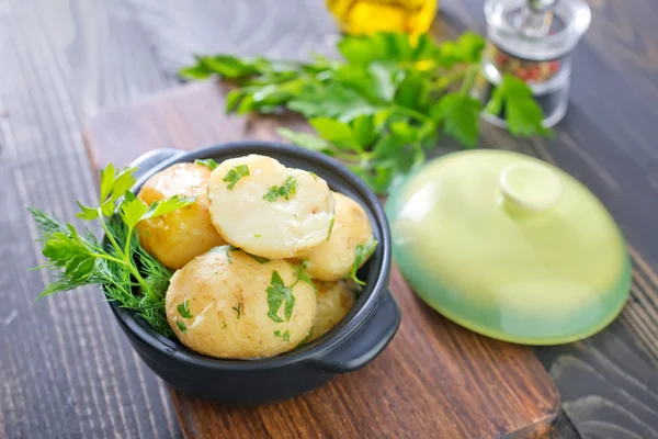 Aardappel — Stockfoto