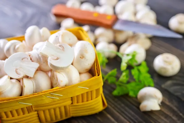 Mushrooms — Stock Photo, Image