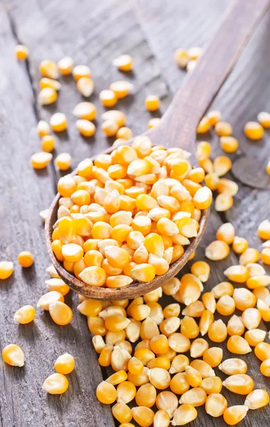 Dry corn — Stock Photo, Image