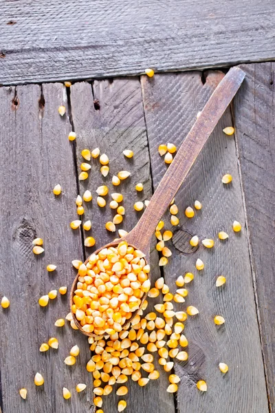 Сухая кукуруза — стоковое фото